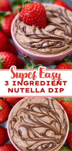 3 Ingredient Skinny Nutella Dessert Dip