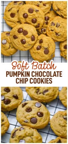 Eggless Soft Batch Pumpkin Chocolate Chip Cookies