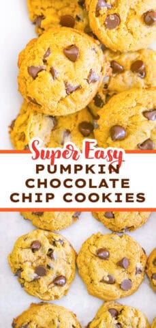 Eggless Soft Batch Pumpkin Chocolate Chip Cookies