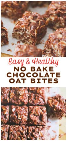 NO BAKE CHOCOLATE OAT BITES