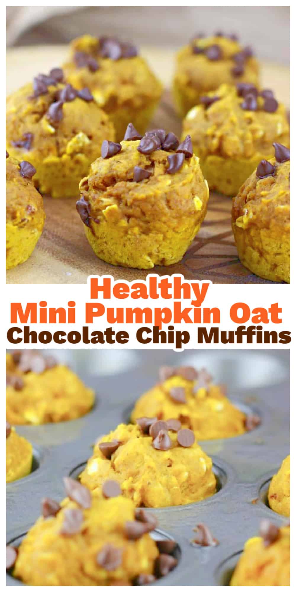 Healthy Pumpkin Oat Chocolate Chip Muffins - The Baking ChocolaTess