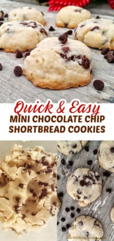 QUICK & EASY MINI CHOCOLATE CHIP SHORTBREAD COOKIES