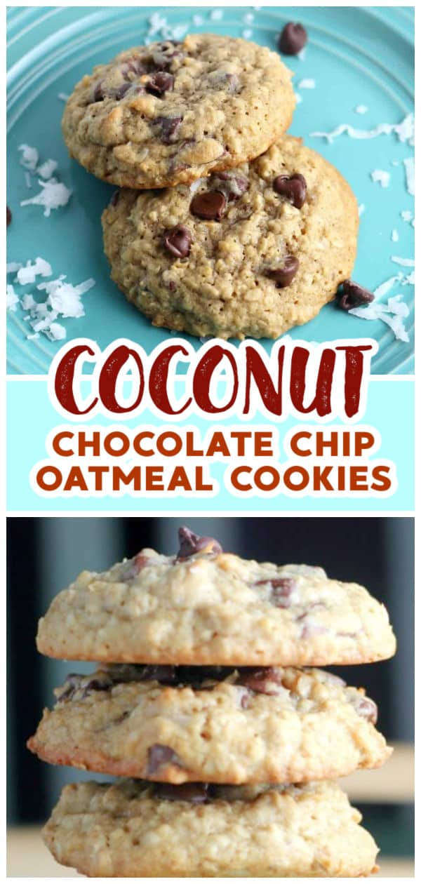 Best Coconut Chocolate Chip Oatmeal Cookies - The Baking ChocolaTess