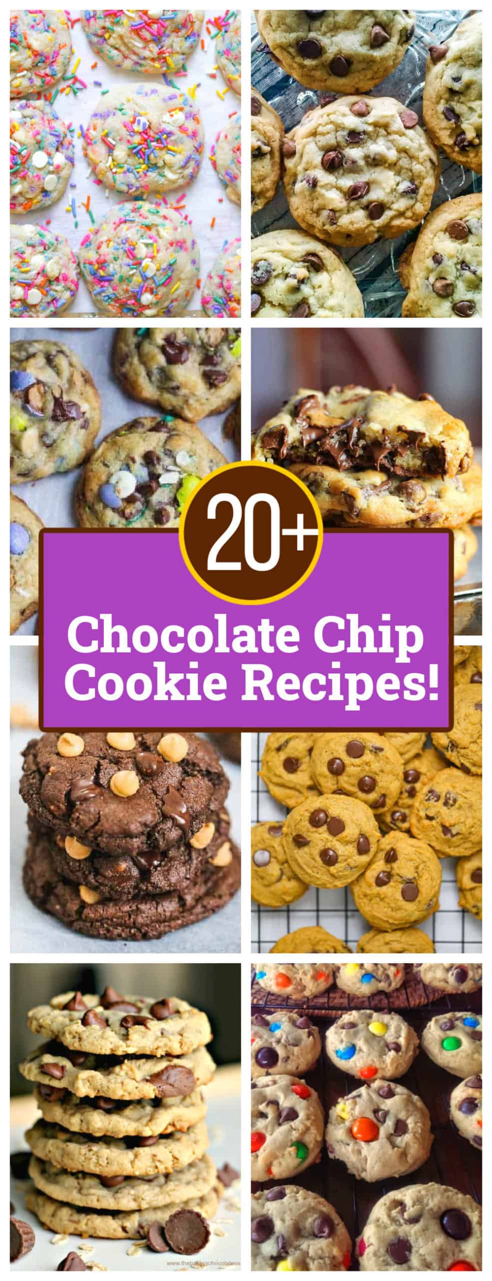 National Chocolate Chip Day Cookie Recipes! - The Baking Chocolatess