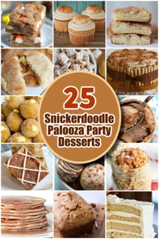 25 Snickerdoodle Palooza Party Desserts