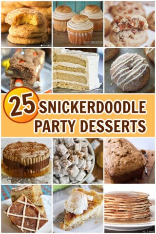 25 Snickerdoodle Palooza Party Desserts