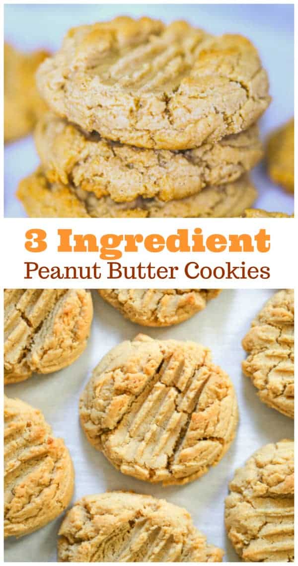 3 Ingredient Peanut Butter Cookies - The Baking ChocolaTess