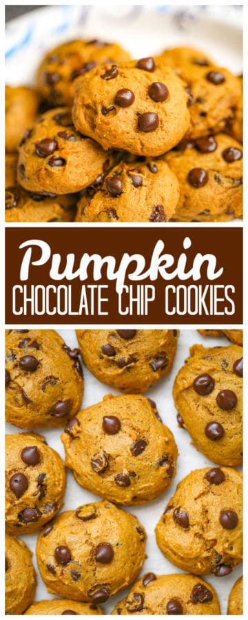 Classic Pumpkin Chocolate Chip Cookies - The Baking ChocolaTess