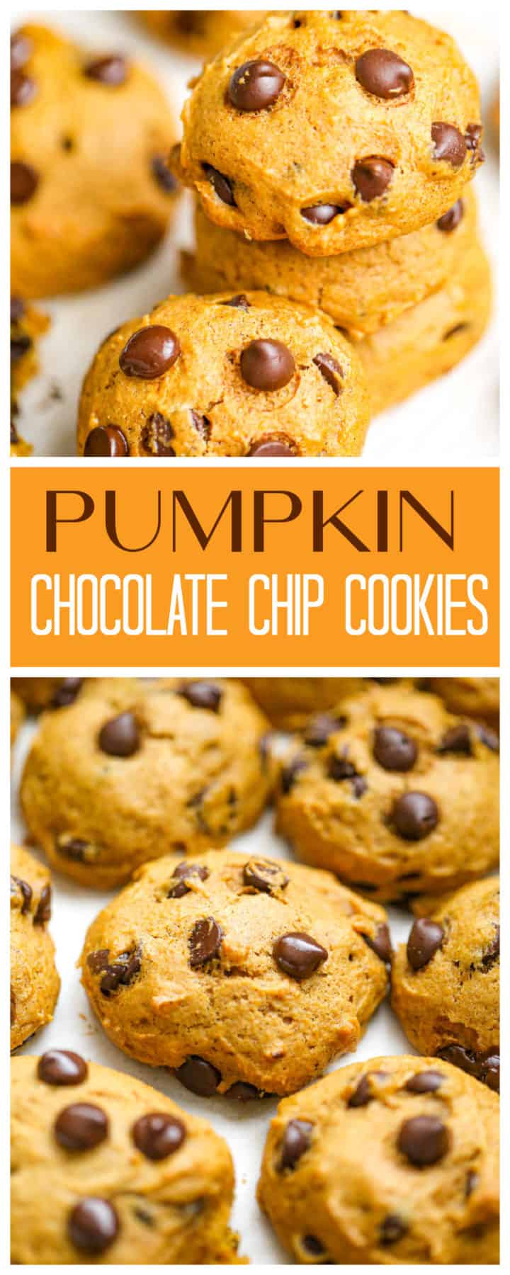 Classic Pumpkin Chocolate Chip Cookies - The Baking ChocolaTess