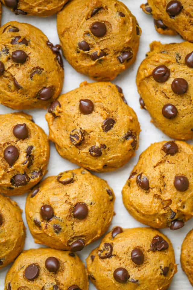 Classic Pumpkin Chocolate Chip Cookies - The Baking ChocolaTess