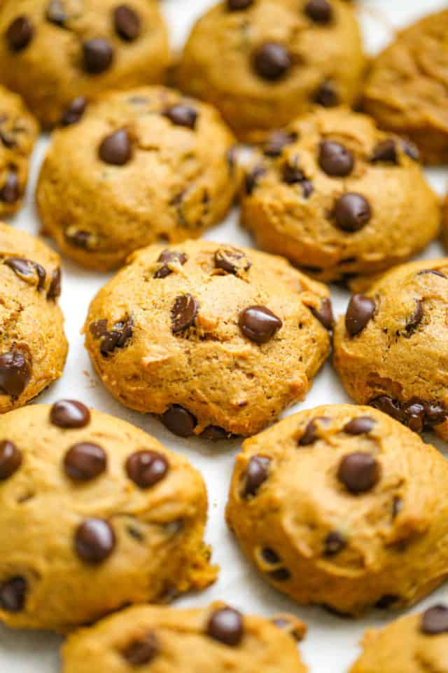 Classic Pumpkin Chocolate Chip Cookies - The Baking Chocolatess