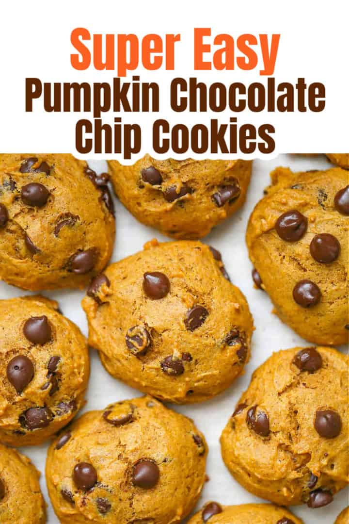 Classic Pumpkin Chocolate Chip Cookies - The Baking ChocolaTess