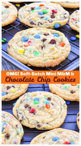 OMG! Soft-Batch Mini M&M & Chocolate Chip Cookies