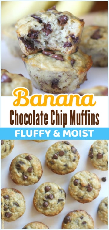 Perfect Banana Chocolate Chip Muffins - The Baking ChocolaTess