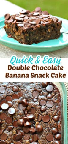 Double Chocolate Banana Snack Cake