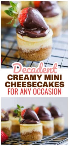 Mini Cheesecakes