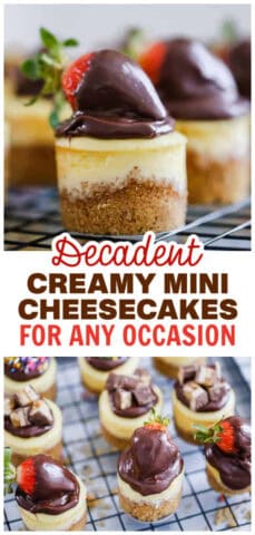 Mini Cheesecakes