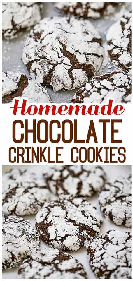 Fudgy Chocolate Crinkle Cookies - The Baking ChocolaTess