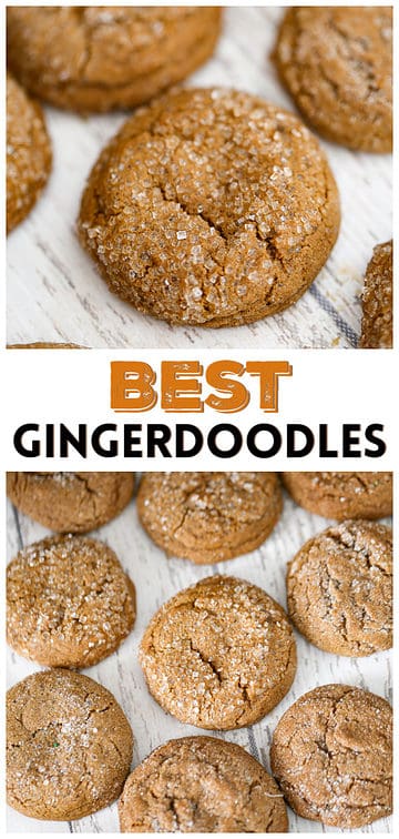 Gingerdoodles - The Baking ChocolaTess