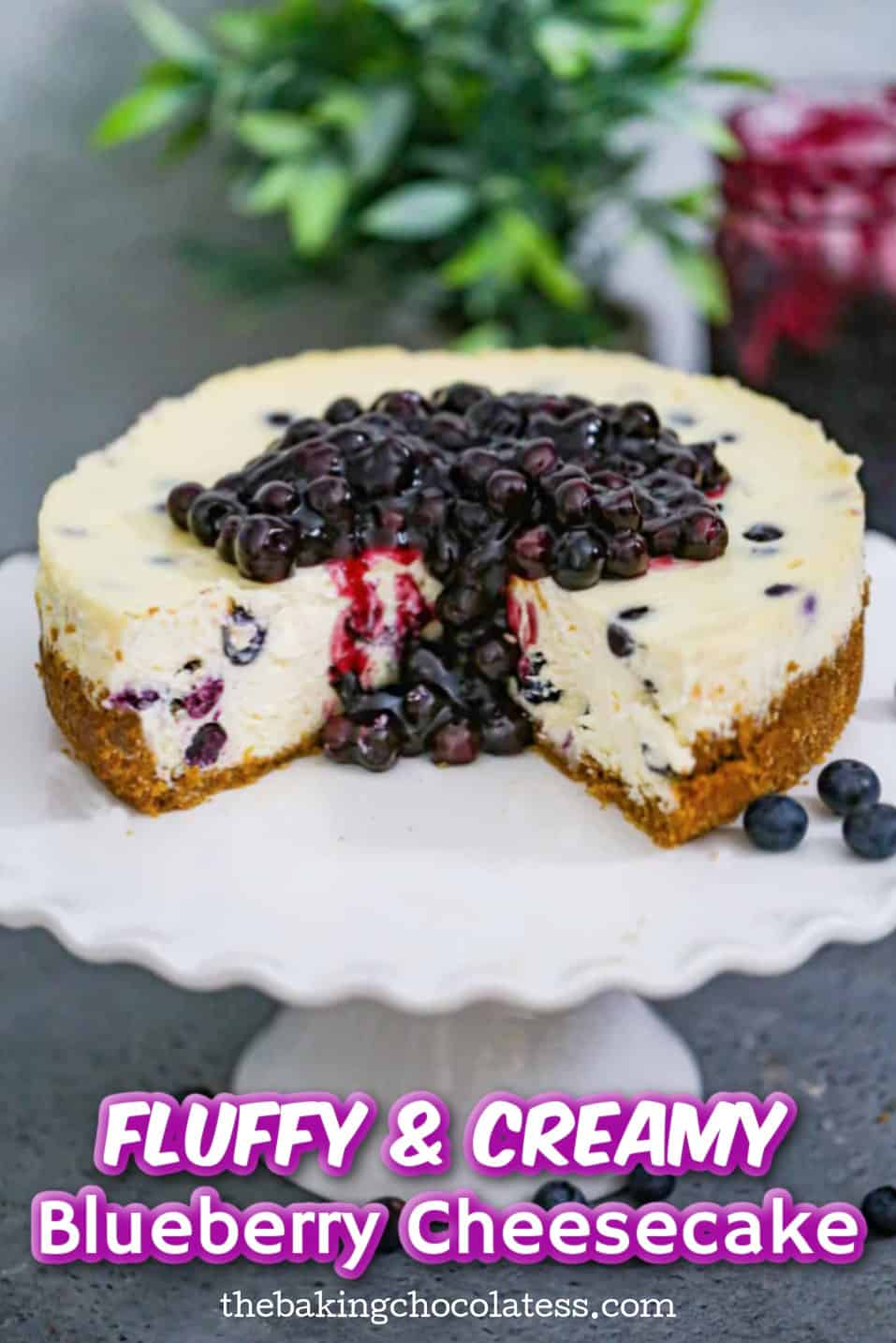 Blueberry Cheesecake