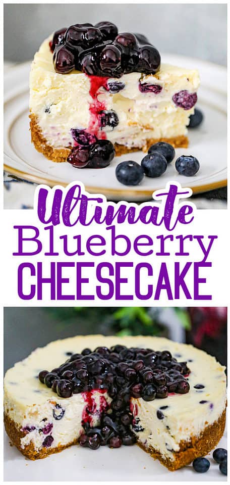 The Best Blueberry Cheesecake Recipe to Enjoy this Summer - The Baking ...