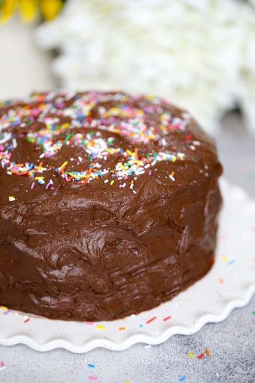 Super Easy Chocolate Cake & Frosting Recipe - The Baking ChocolaTess