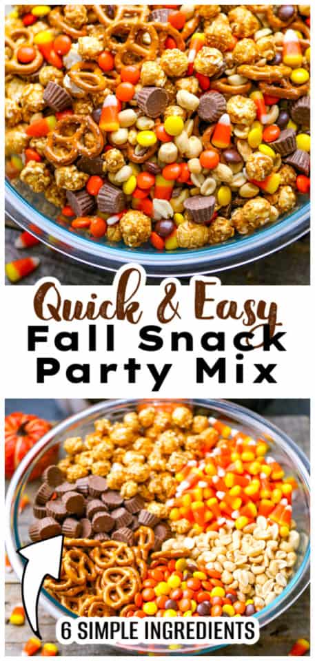 Fall Snack Mix - The Baking Chocolatess