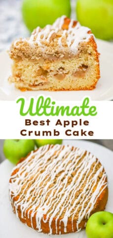 Best Apple Crumb Cake