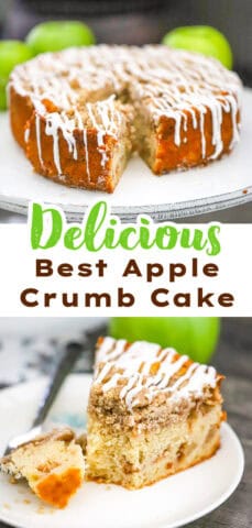 Best Apple Crumb Cake