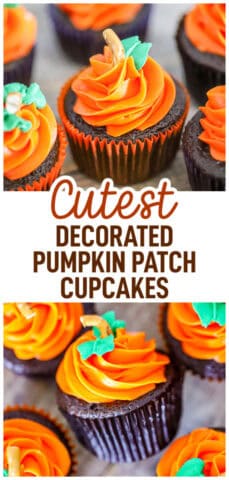 Cutest Decorated Pumpkin Patch Chocolate Cupcakes