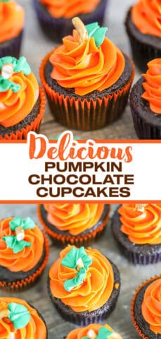 Cutest Decorated Pumpkin Patch Chocolate Cupcakes