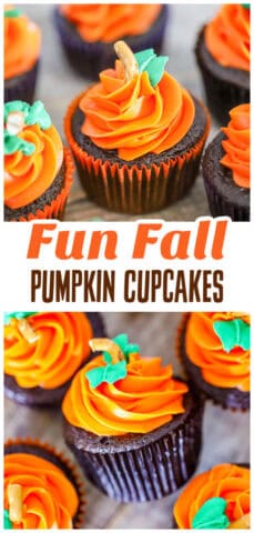 Cutest Decorated Pumpkin Patch Chocolate Cupcakes