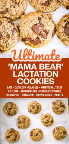 'Mama Bear' Lactation Cookies