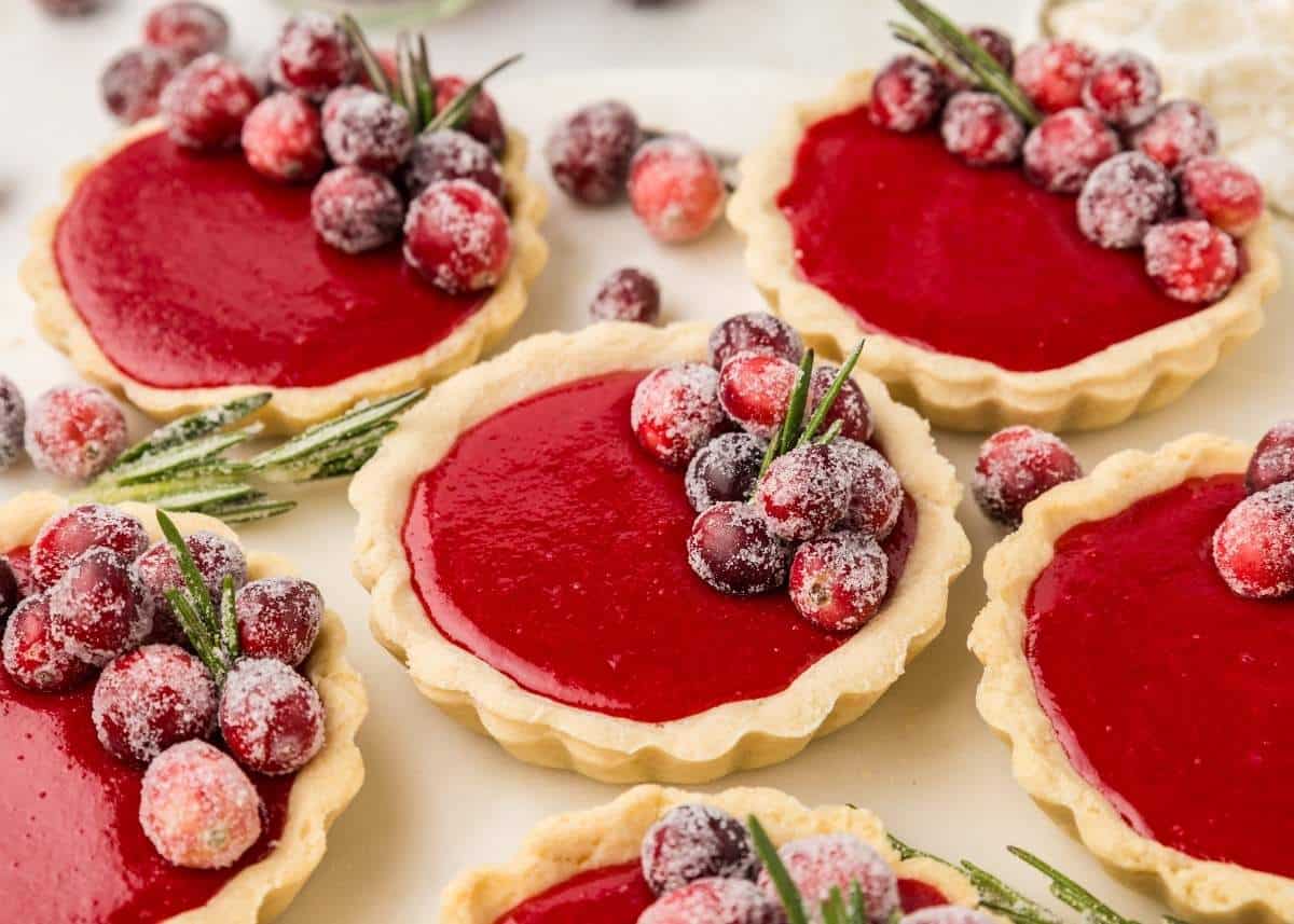 50 Stunning Best Holiday Cranberry Desserts Recipes