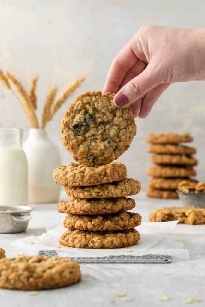 Oatmeal Cranberry Walnut Cookies