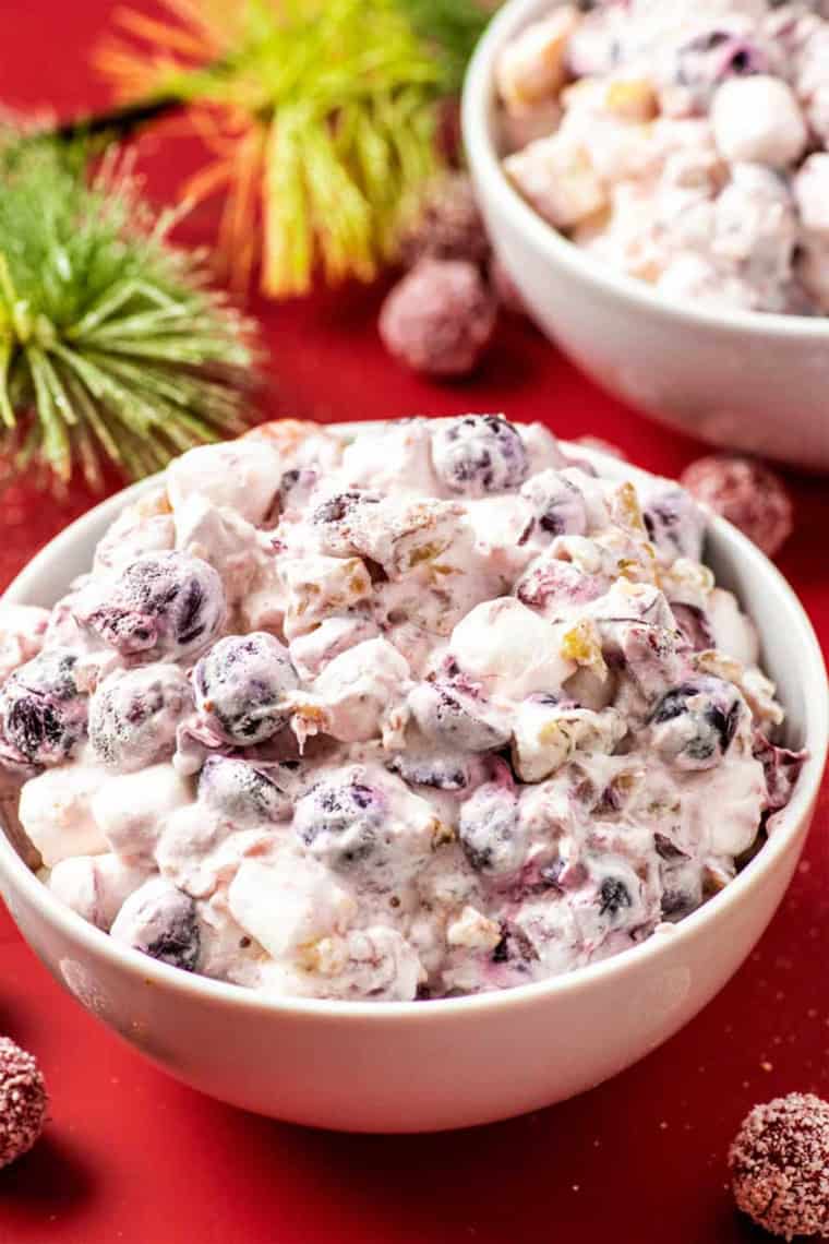 50 Stunning Best Holiday Cranberry Desserts with cranberries Recipes