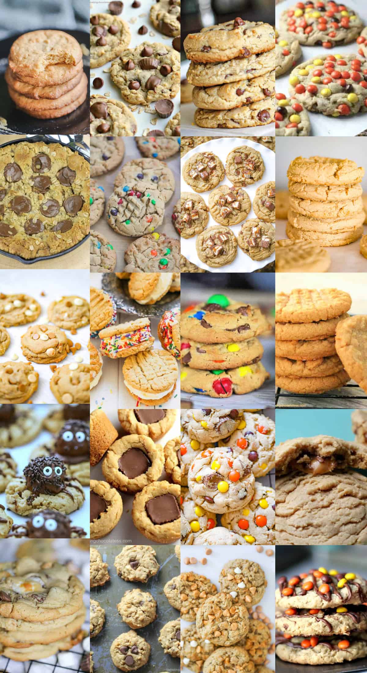 20 Peanut Butter Cookies Recipe Roundup Cookbook ebook 